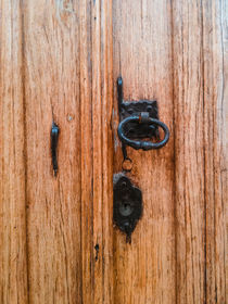 Wood Door by Mauricio Santana