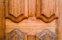 Wood Door 2 by Mauricio Santana