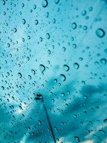Raindrops by Mauricio Santana