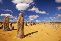 The Pinnacles Desert in Nambung National Park, Western Australia by Sara Winter