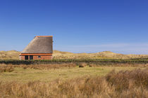 Traditional sheep barn on the island of Texel, The Netherlands von Sara Winter