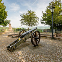 Schloss Dhaun-Kanone by Erhard Hess