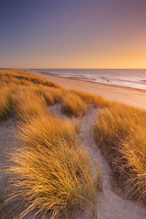 Dunes and beach at sunset on Texel island, The Netherlands by Sara Winter