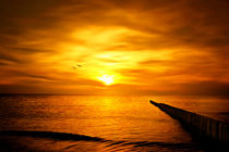 Goldener Sonnenuntergang by darlya