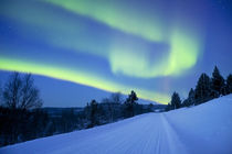 Aurora borealis over a road through winter landscape, Finnish Lapland by Sara Winter