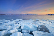 Ice floes at sunset, Arctic Ocean, Porsangerfjord, Norway by Sara Winter