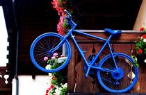 Colourful Bikes by Philipp Tillmann