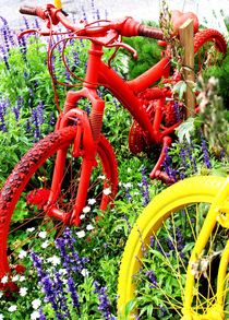 Colourful Bikes by Philipp Tillmann