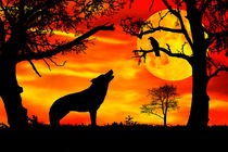 Wolf heult Mond an by darlya