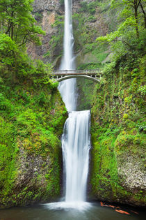 'Multnomah Falls in the Columbia River Gorge, Oregon, USA' von Sara Winter