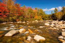 River through fall foliage, Swift River, New Hampshire, USA von Sara Winter