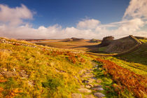 Hadrian's Wall, near Housesteads Fort in early morning light von Sara Winter