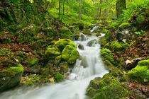 Waterfall in a lush gorge in Slovenský Raj, Slovakia by Sara Winter