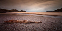 Driftwood at Three Cliffs Bay by Leighton Collins