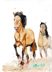 Horses von Sadullah Memisoglu