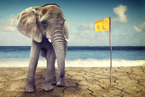Elefant am Meer  by AD DESIGN Photo + PhotoArt