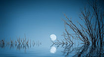 Blue Moon on the Water by Dave Harnetty