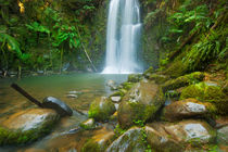 Rainforest waterfalls, Beauchamp Falls, Great Otway NP, Victoria, Australia von Sara Winter