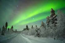 Aurora borealis over a track through winter landscape, Finnish Lapland by Sara Winter
