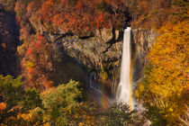 Kegon Falls near Nikko, Japan in autumn by Sara Winter