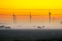 Windkraft am Morgen by Dennis Stracke