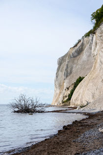 Chalk cliffs and shore by Thomas Matzl