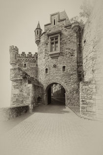 Schloss Dhaun-Haupteingang 8 by Erhard Hess