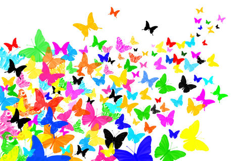 Schmetterlingsschwarm