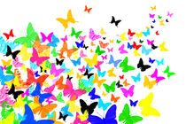Schmetterlingsschwarm von darlya