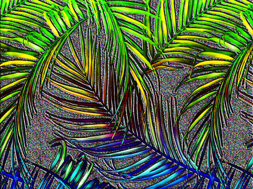 Palm-leaf-art