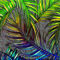 Palm-leaf-art