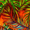Palm-leaf-art-jungle-fire-edit