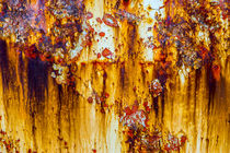 Yellow Rust von David Hare