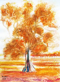 Eukalyptusbaum by Irina Usova