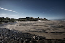 Beach landscape  Aguas Dulces by Diana C. Bernardi