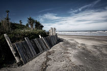 Beach landscape woody fence Aguas Dulces by Diana C. Bernardi