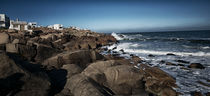 Seal Rocks at Cabo Polonio by Diana C. Bernardi