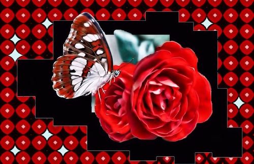 Schmetterling-mit-rose2gr