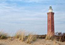 Lonesome Lighthouse North See von Diana C. Bernardi
