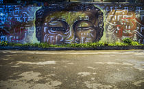 Buddha Graffiti by Bikram Pratap Singh