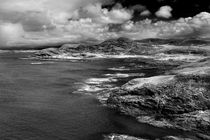 Scottish Coast von David Hare