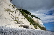 Chalk cliffs and shore II. by Thomas Matzl
