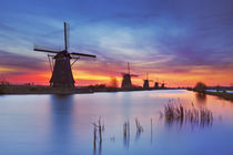Traditional windmills at sunrise, Kinderdijk, The Netherlands by Sara Winter