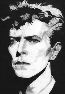Bowie by Sergio Pasqualino