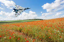  Avro Vulcan B2 bomber over a field of red poppies by Graham Prentice