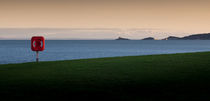 Swansea Bay and Mumbles by Leighton Collins