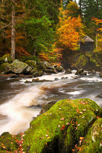 River through autumn colours at the Hermitage, Scotland von Sara Winter