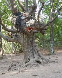 Druid, tree guard von Yuri Hope