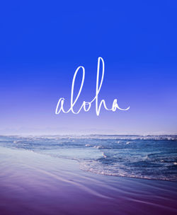 Aloha-deny-canvas