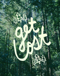 Get Lost - Muir Woods by Leah Flores
